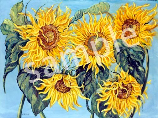 large sunflowers