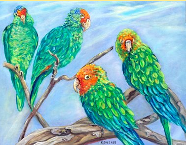 parrots of telegraph hill